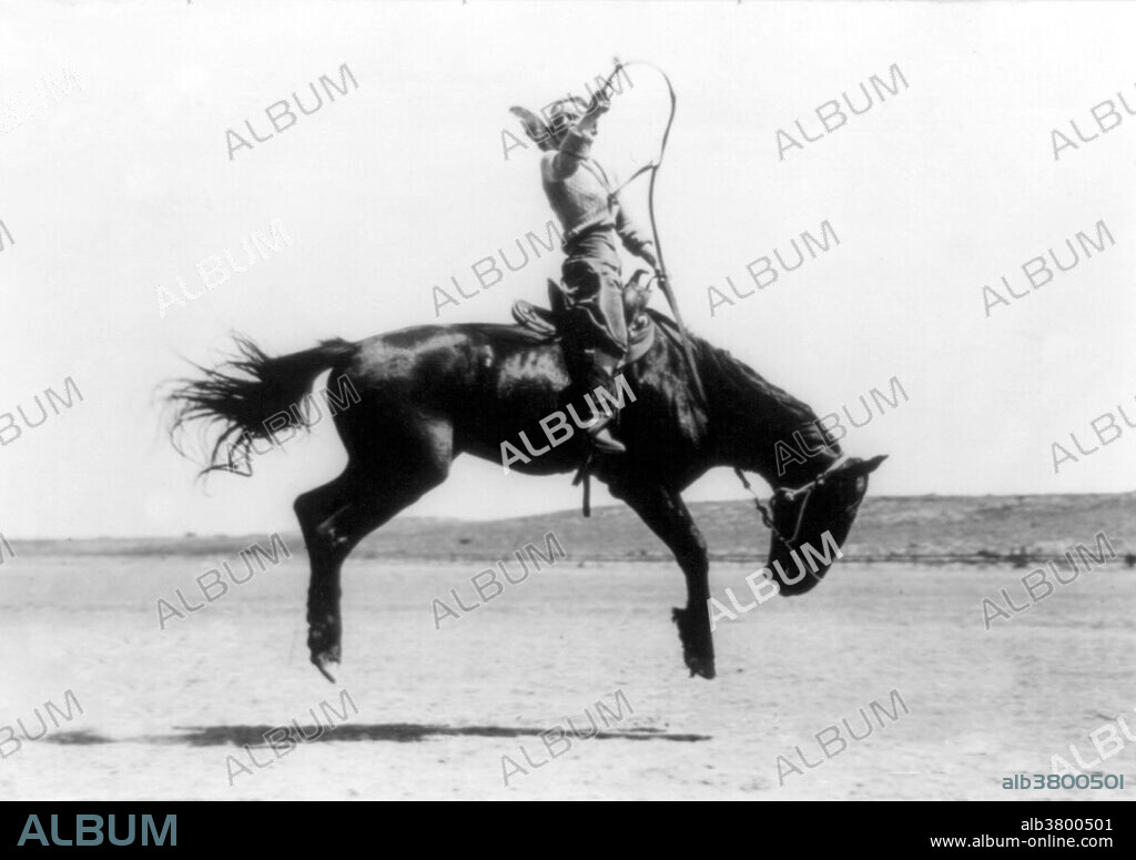 Canutt champion lady rider of the world on Winnemucca, 1919. Kitty Canutt, stage name Kitty Wilks (July 15, 1899 - June 3, 1988), was a professional bronc rider, and the All-Around Champion Cowgirl at the 1916 Pendleton Round-Up in Pendleton, Oregon, for her bucking horse and relay race events. She was known as the "Diamond Girl" or "Diamond Kitty" because she had a diamond set in her front tooth. She would occasionally remove and pawn the diamond when she needed contest entry money. Bucking is a movement performed by a horse in which the animal lowers its head and raises its hindquarters into the air, usually while kicking out with the hind legs. If powerful, it may unseat the rider enough to fall off.