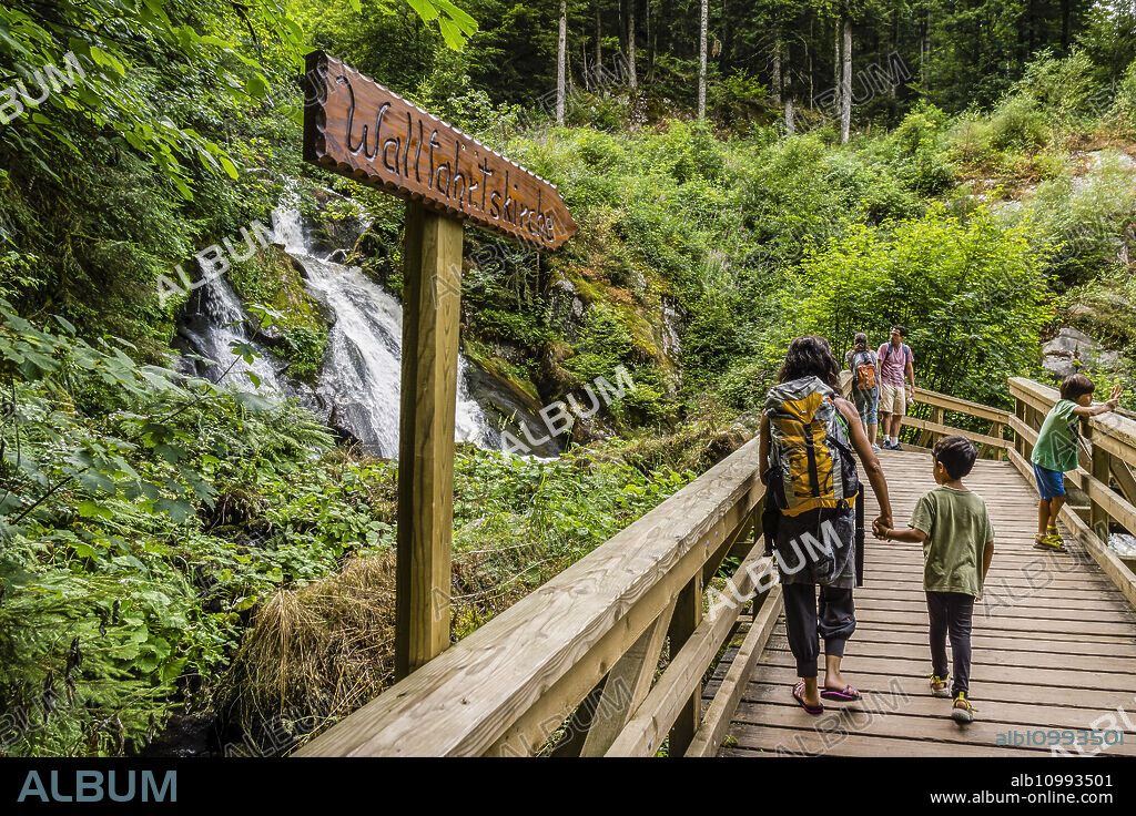 waterfalls Triberg, - Triberger Wasserfälle- with a descent of 163 meters, river Gutach, Triberg, Black Forest region, Germany, Europe.