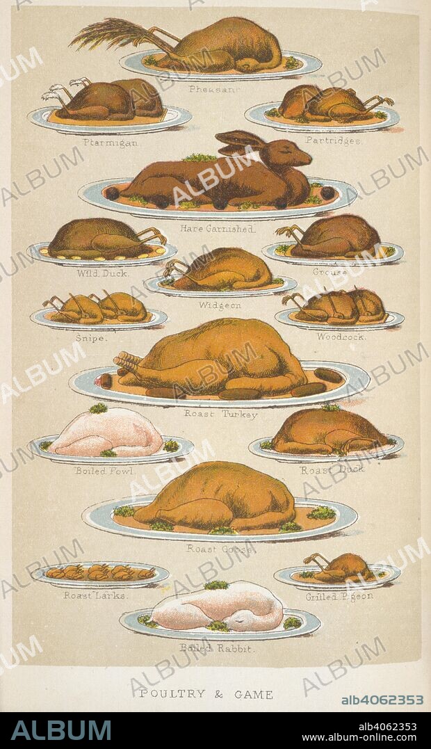 ISABELLA MARY BEETON. Illustration showing meat dishes: Pheasant; Ptarmigan; Partridges; Hare garnished; Wild duck; Widgeon; Snipe; Roast Turkey; Roast Duck; Roast Goose; Roast Larks; Boiled Rabbit and Grilled Pigeon. The book of household management ... Entirely new edition, revised and corrected, with new coloured engravings. Ward, Lock, Bowden & Co.: London, 1892. Source: 7942.dd.9, opposite 599. Language: English.