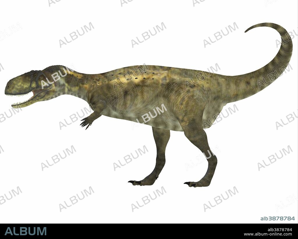 Abelisaurus dinosaur. Abelisaurus was a carnivorous theropod dinosaur that lived in the Cretaceous Period of Argentina.