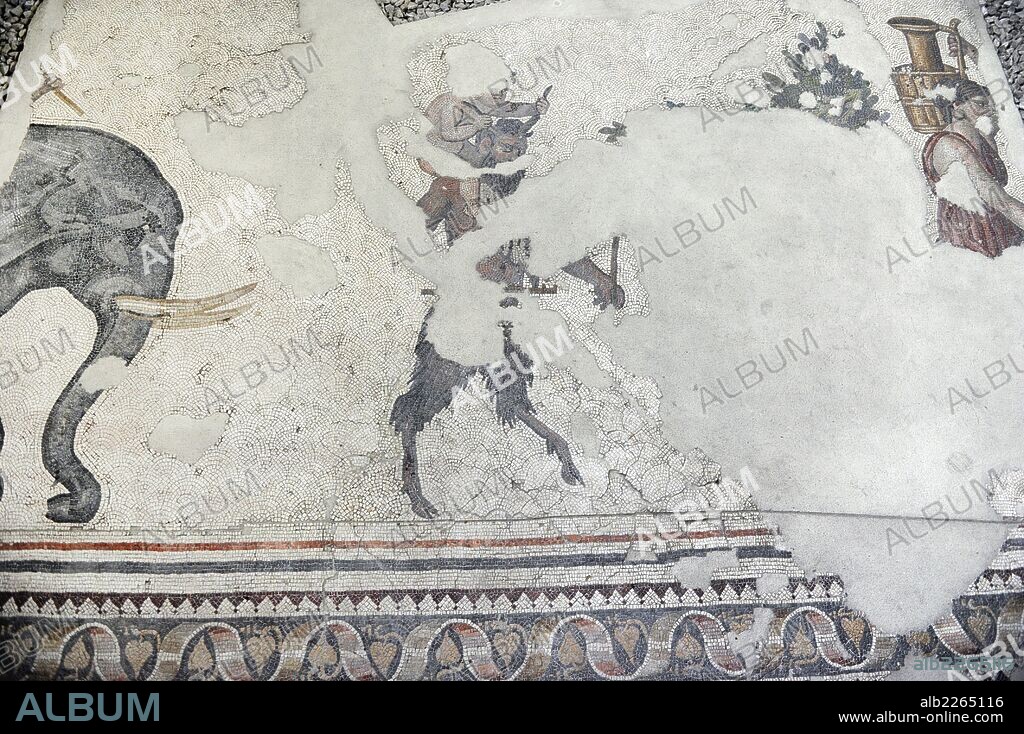 ARTE ROMANO. IMPERIO DE ORIENTE. TURQUIA. Detalle de uno de los mosaicos que decoraban los pavimentos del antiguo Palacio del Imperio Bizantino construido por orden de Constantino (s. IV), llamado el Gran Palacio Imperial.. Fechado entre los siglos IV-VI. MUSEO DE LOS MOSAICOS (MOZAIK MÜZESI). Estambul. Turquía.