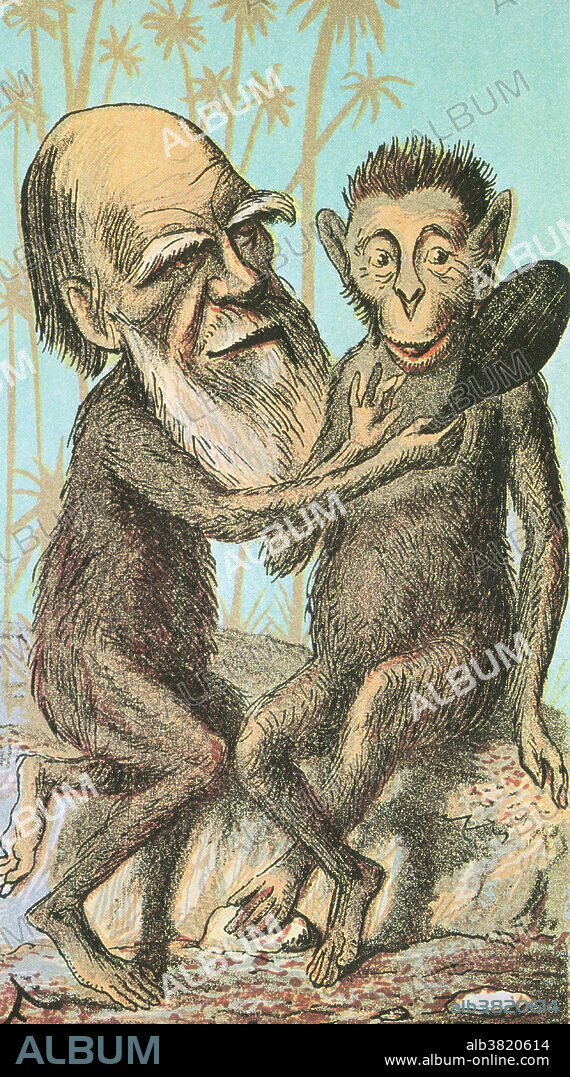 Illustration of Charles Darwin showing an ape how alike the pair of them are. Darwin (1809-1882) suggested that natural variation in a species creates a wide range of individual characteristics some of which are more useful than others. The competition to survive in nature provides adriving force for evolution in the form of natural selection, a mechanism which weeds out those individuals possessing traits less suitable to the environment. The implications of his theory to man's own origins fuelled a bitter controversy with the church. Image taken from an unnamed artist in The London Sketch Book, 1874.