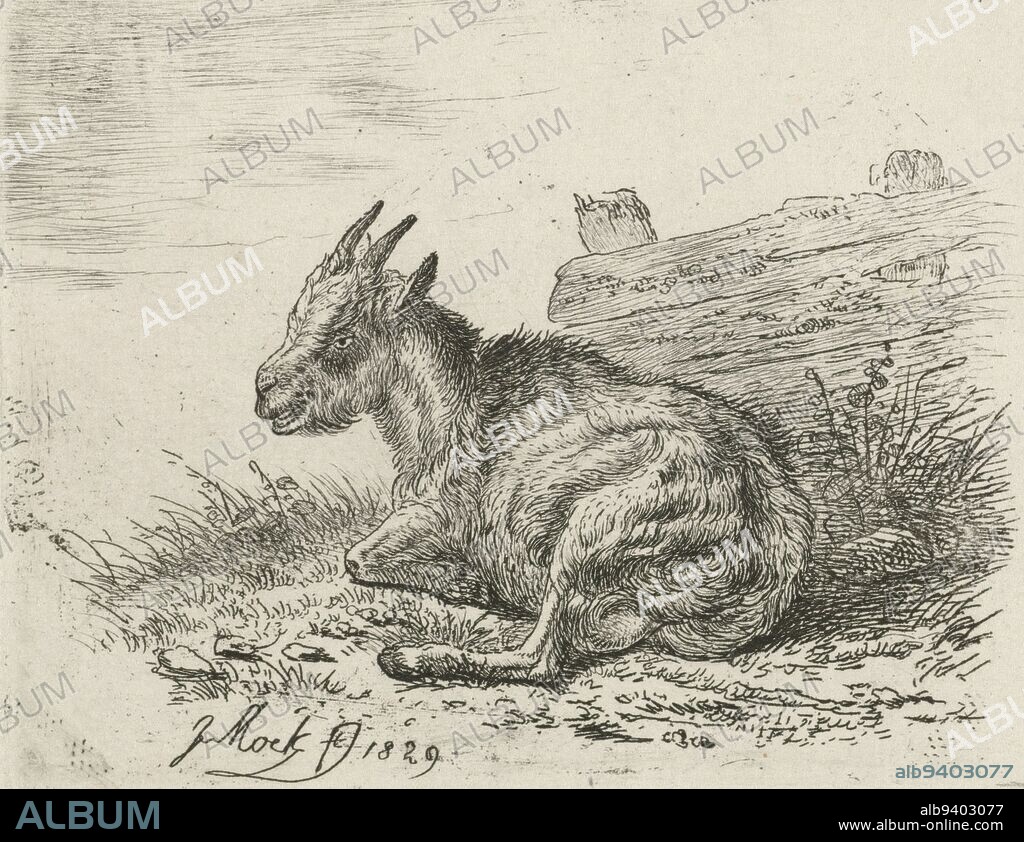 Small goat lying at a fence, print maker: Johannes Mock, (mentioned on object), Netherlands, 1829, paper, etching, h 74 mm × w 94 mm.