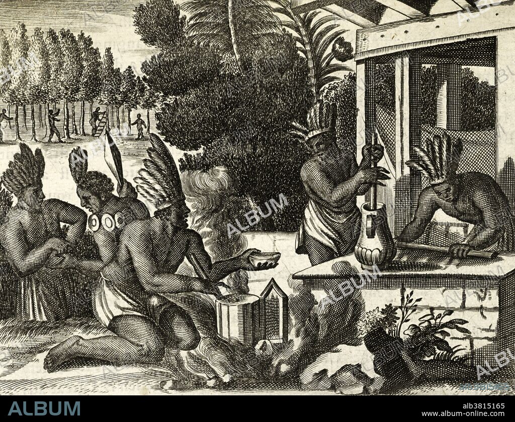 Indigenous people in the Spanish colonies making chocolate mixed with maize, 1671. John Ogilby (1600-1676). Until Columbus brought cacao beans back to Spain in the early 1500s, Europe was unfamiliar with the popular cocoa drink from the Central and South America. After the Spanish conquest of the Aztecs, chocolate began to be imported into Europe and quickly became a court favorite. Cacao plantations in the colonies spread, run on slave labor, while drinking cocoa was considered variously exotic, fashionable, medicinal, and dangerous. Chocolate production developed over the centuries, until modern-style chocolate bars were created in the mid 1800s. Chocolate is made from the dried and partially fermented seeds of the cacao tree (Theobroma cacao), a small evergreen native to the tropical Americas.