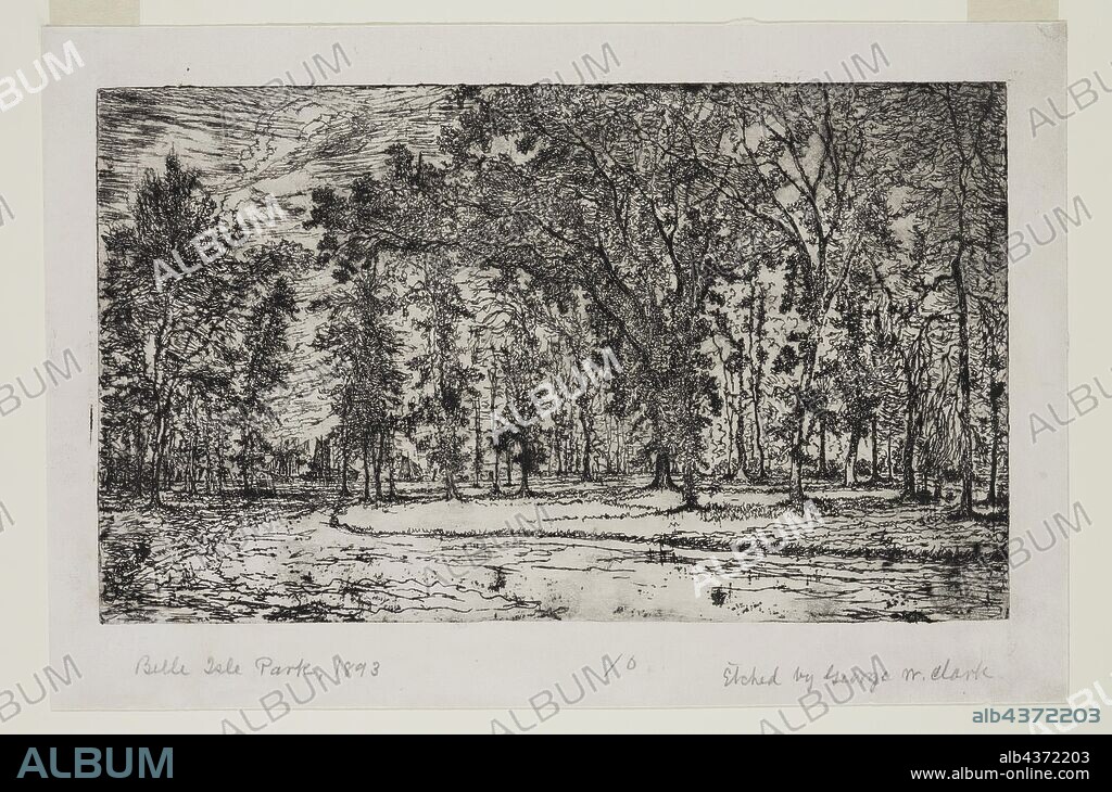George W. Clark, American, Forest of Belle Isle Park - Detroit, 1893, etching printed in black ink on japan paper, Plate: 5 7/8 × 9 7/8 inches (14.9 × 25.1 cm).