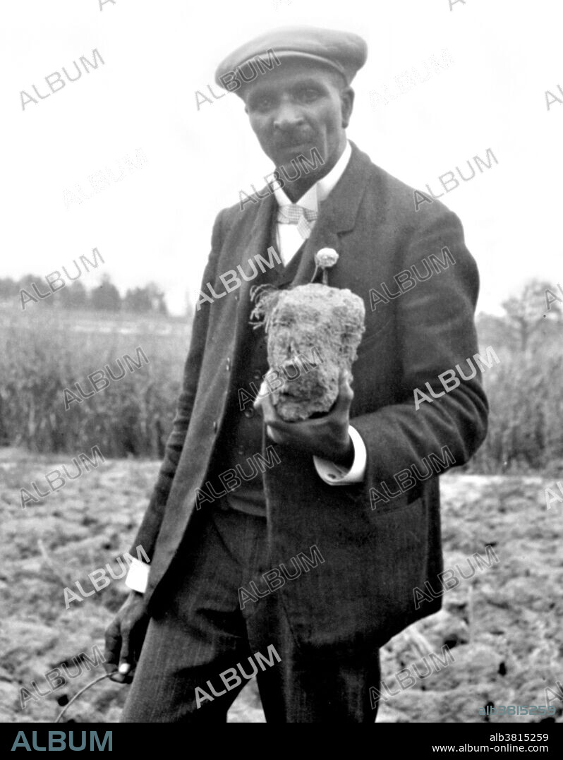 Carver, standing in field, probably at Tuskegee, holding piece of soil. George Washington Carver (1864 - January 5, 1943) was an African-American scientist, botanist, educator, and inventor born into slavery. In 1891 he attended and studied botany at Iowa State Agricultural College where he was the first black student, and later taught as the first black faculty member. His reputation is based on his research into and promotion of alternative crops to cotton, such as peanuts, soybeans and sweet potatoes, which also aided nutrition for farm families. He wanted poor farmers to grow alternative crops both as a source of their own food and as a source of other products to improve their quality of life. As an agricultural chemist, Carver discovered three hundred uses for peanuts and hundreds more for soybeans, pecans and sweet potatoes. He died in 1943, at the age of 78. In 1977, he was elected to the Hall of Fame for Great Americans. In 1990, he was inducted into the National Inventors Hall of Fame. Carver is often referred to as "Father of Chemurgy". Photographed by Frances Benjamin Johnston, 1906.