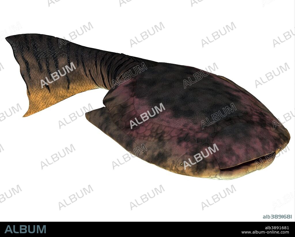 Drepanaspis is an extinct species of primitive jawless fish from the Devonian Period.