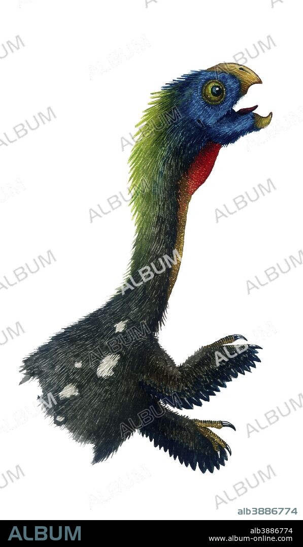 Watercolor portrait of Ajancingenia yanshini. Ajancingenia yanshini was oviraptorid theropod dinosaur from the Late Cretaceous of Mongolia.