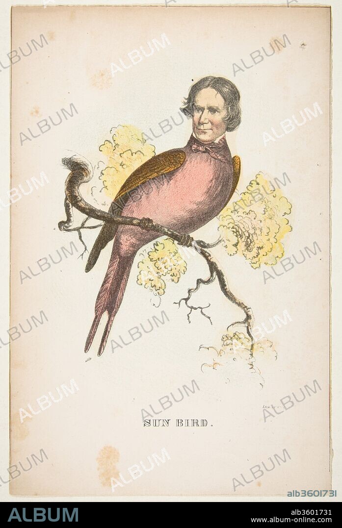 Sun Bird (James S. Wallace), from The Comic Natural History of the Human Race. Artist: Henry Louis Stephens (American, Philadelphia, Pennsylvania 1824-1882 Bayonne, New Jersey). Dimensions: sheet: 10 13/16 x 7 1/16 in. (27.5 x 18 cm). Lithographer: Rosenthal (Philadelphia, Pennsylvania). Publisher: Samuel Robinson (Philadelphia, Pennsylvania). Date: 1851.