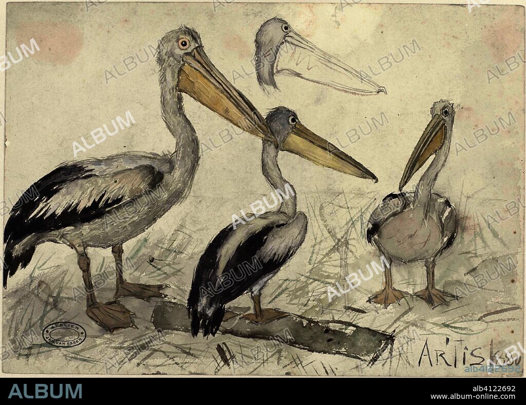 Pelicans in Artis Zoo. Draughtsman: Jan van Essen. Dating: 1880. Measurements: h 253 mm × w 355 mm.