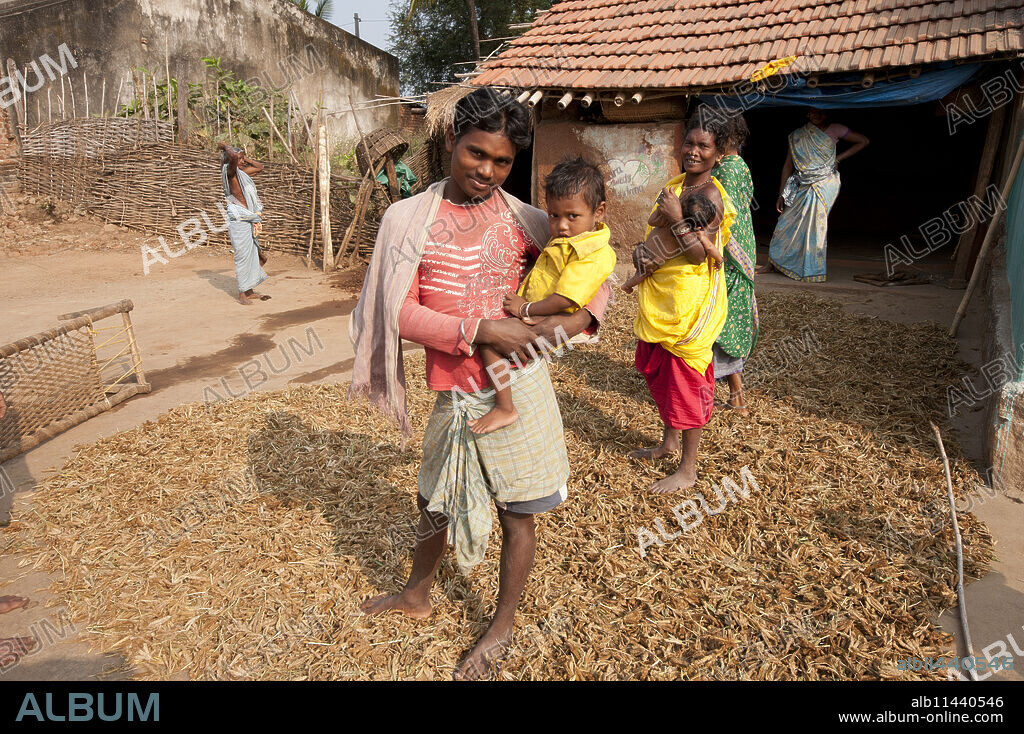 Young father of Desia Kondh tribe holding his son outside his house, standing on crop of drying millet, Bissam Cuttack, Orissa, India, Asia.
