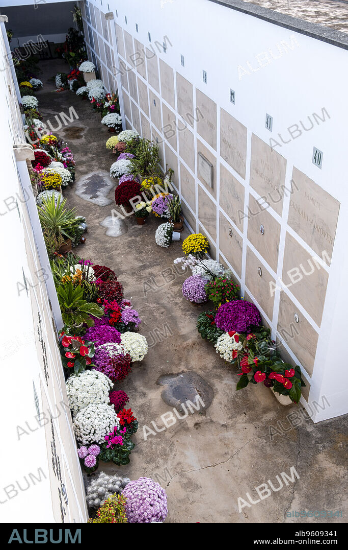Alqueria Blanca and Calonge cemetery, Santanyi, Mallorca, Balearic Islands, Spain.