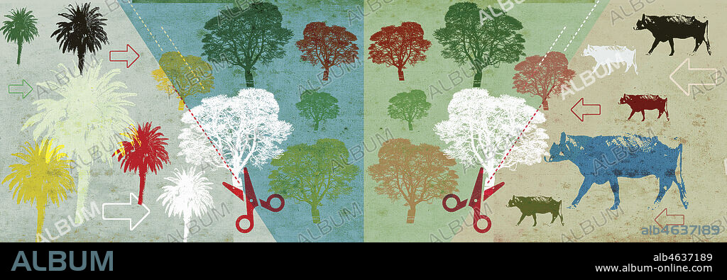 Pressure on forest from agriculture.