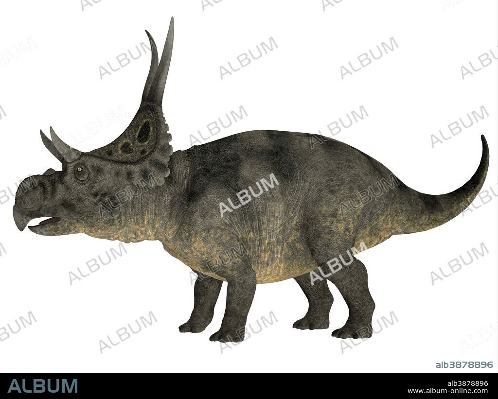 Diabloceratops was a herbivorous dinosaur that lived during the Cretaceous Period of Utah in North America.