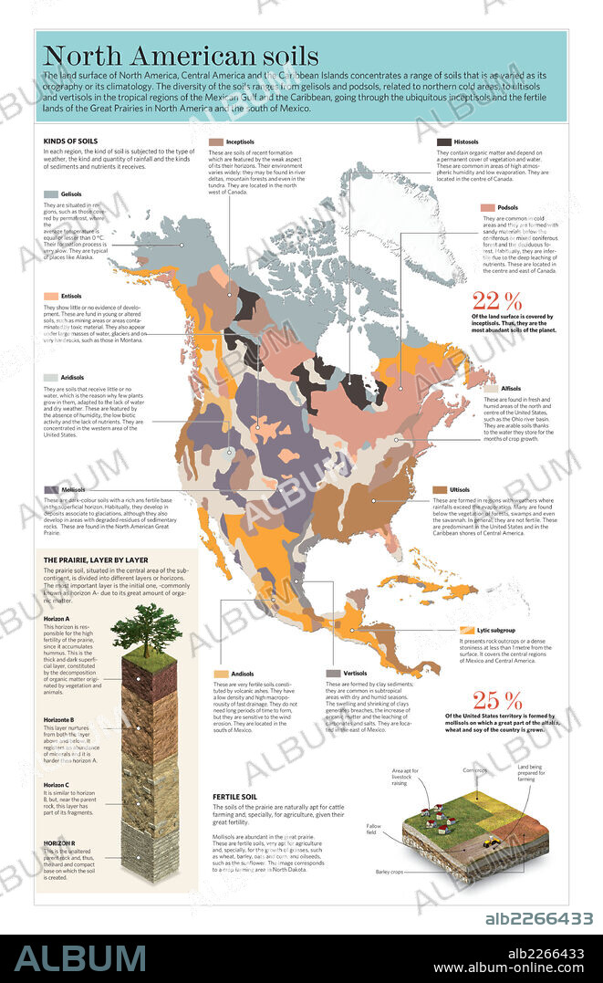 North American soils. Map and charts on soil types in North and Central America.