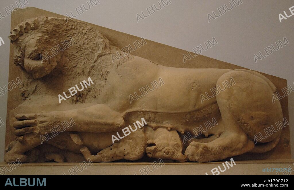 ARTE GRIEGO. S. VI A. C. GRECIA. LEONA ATACANDO A UN TORO. Relieve del ala derecha de un fronton de piedra caliza, probablemente del primitivo Partenón. Otro grupo similar se situaría simétricamente en el ala izquierda. Fechado hacia el 570 a. C. Museo de la Acrópolis. Atenas. Grecia.