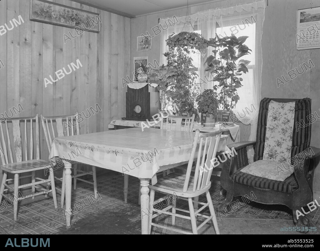 DOROTHEA LANGE. Interior of Evenson new one-room cabin. Mrs. Evenson brought the plants with her from Montana. Priest River Valley, Bonner County, Idaho.