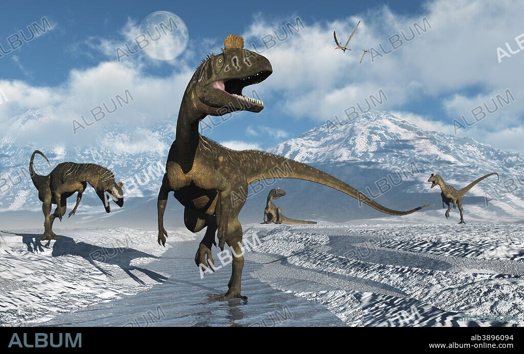 Cryolophosaurus dinosaurs roaming modern day Antarctica during the Jurassic period.