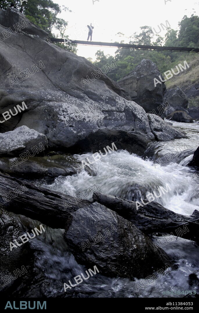 Trek path to Kunthipuzha, Silent Valley National Park, Palakkad District, Kerala, India, Asia.