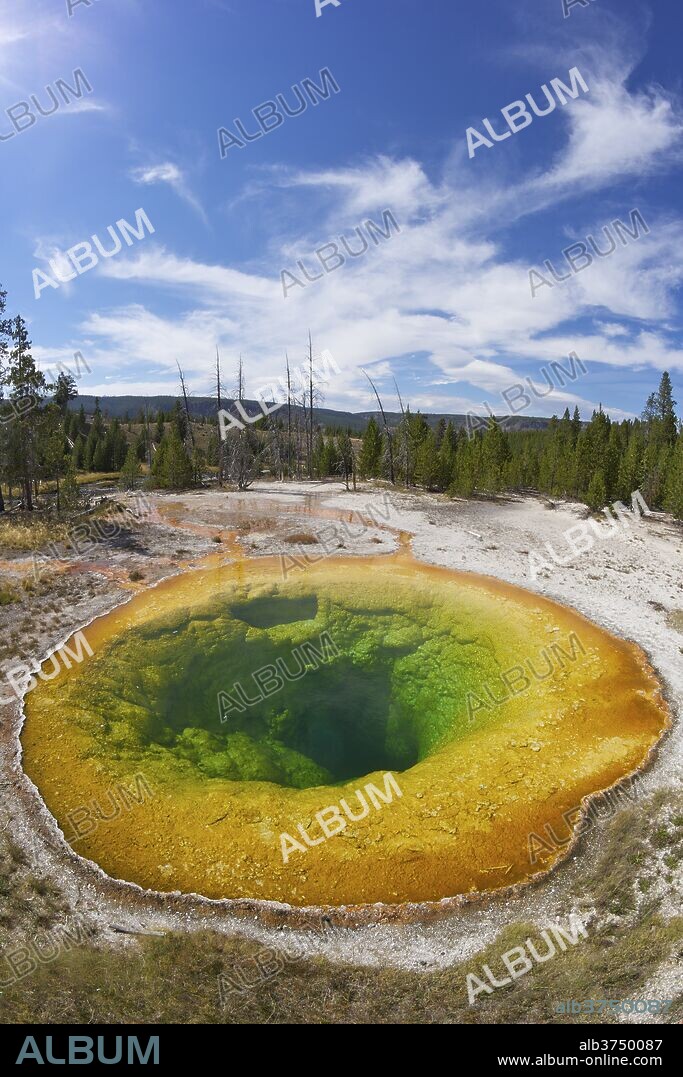 Morning Glory Pool, Upper Geyser Basin, Yellowstone National Park, UNESCO World Heritage Site, Wyoming, United States of America, North America.