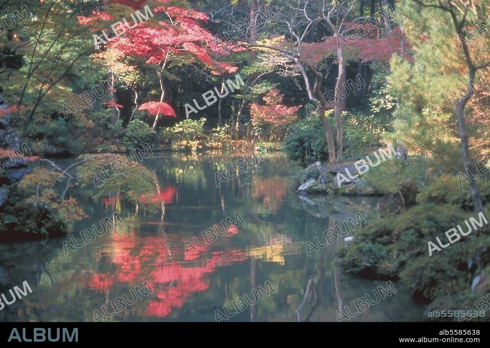 Kyôto (Japan), Saihô-ji Tempel (auch Koke-dera: "Moos-Tempel" genannt; 1339 von Musô Kokushi umgestaltet). Zen-Garten: Moosgarten. Foto, 1998.