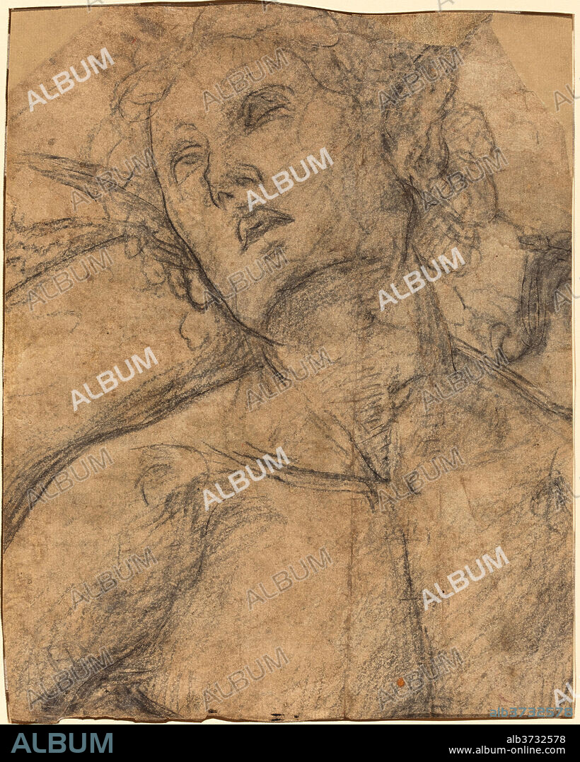 LUCA SIGNORELLI. Bust of a Youth Looking Upward [recto]. Dated: c. 1500. Dimensions: overall: 22.5 x 17.7 cm (8 7/8 x 6 15/16 in.). Medium: black chalk partially indented with a stylus on tan laid paper.
