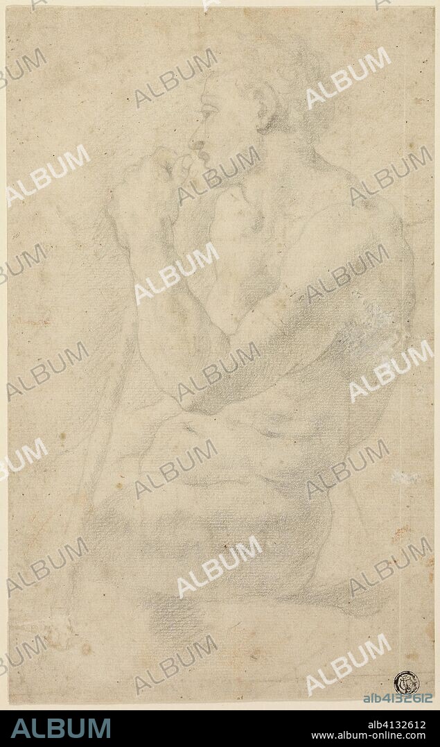 Academic Male Nude. Circle of Agnolo Bronzino; Italian, 1503-1572. Date: 1568-1572. Dimensions: 281 x 174 mm. Black chalk on cream laid paper. Origin: Italy.