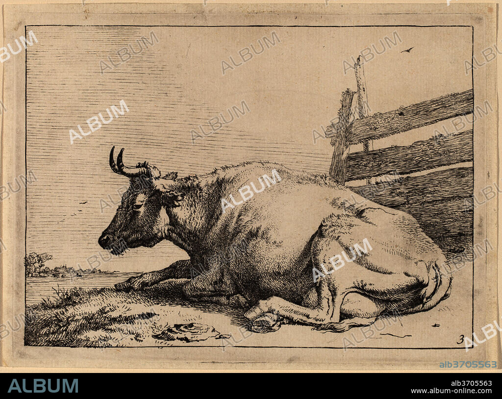 PAULUS POTTER. Cow Lying Down near a Fence. Dated: 1650. Medium: etching.