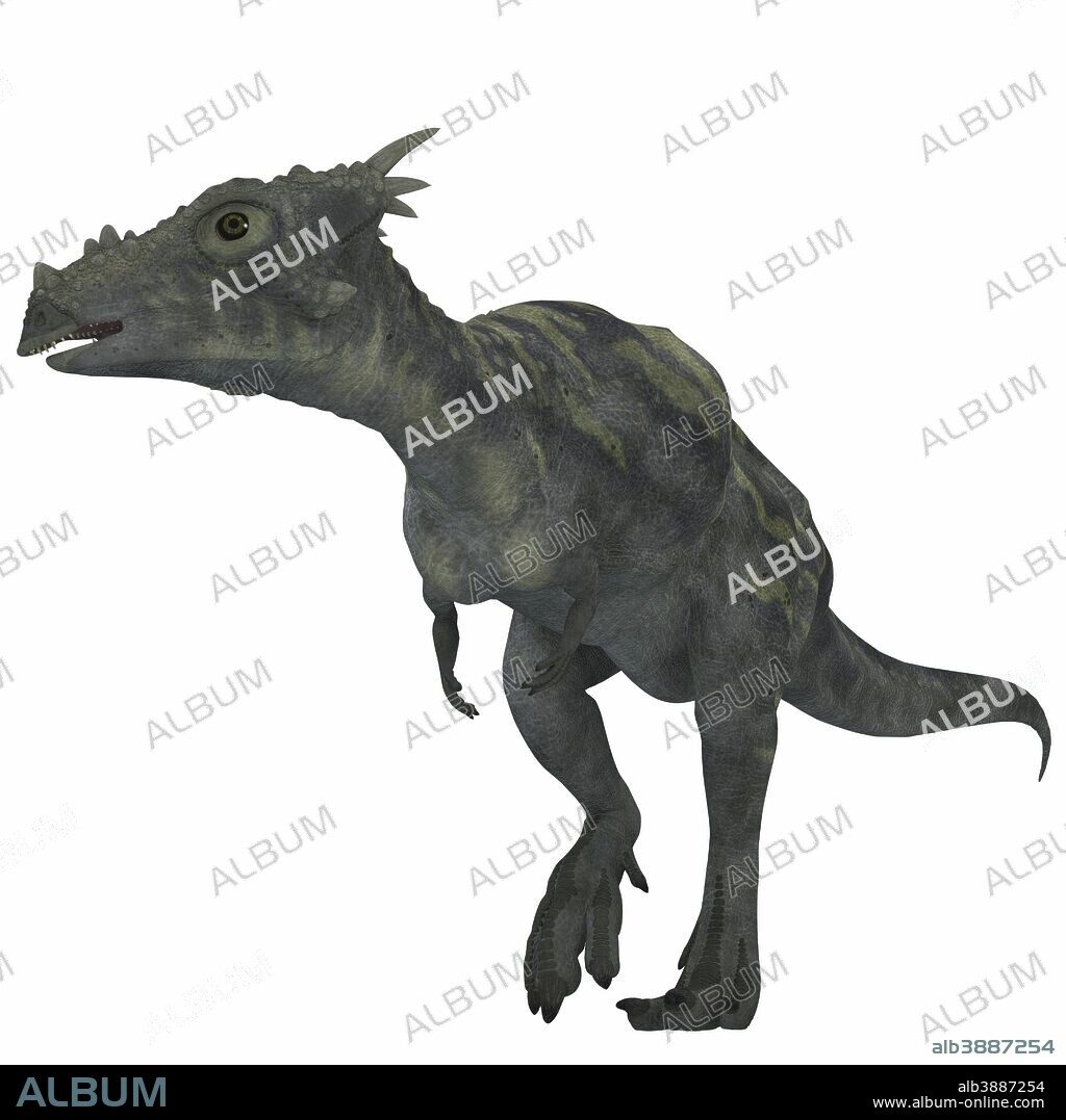 Dracorex was a herbivorous dinosaur and lived during the Cretaceous Period of North America.
