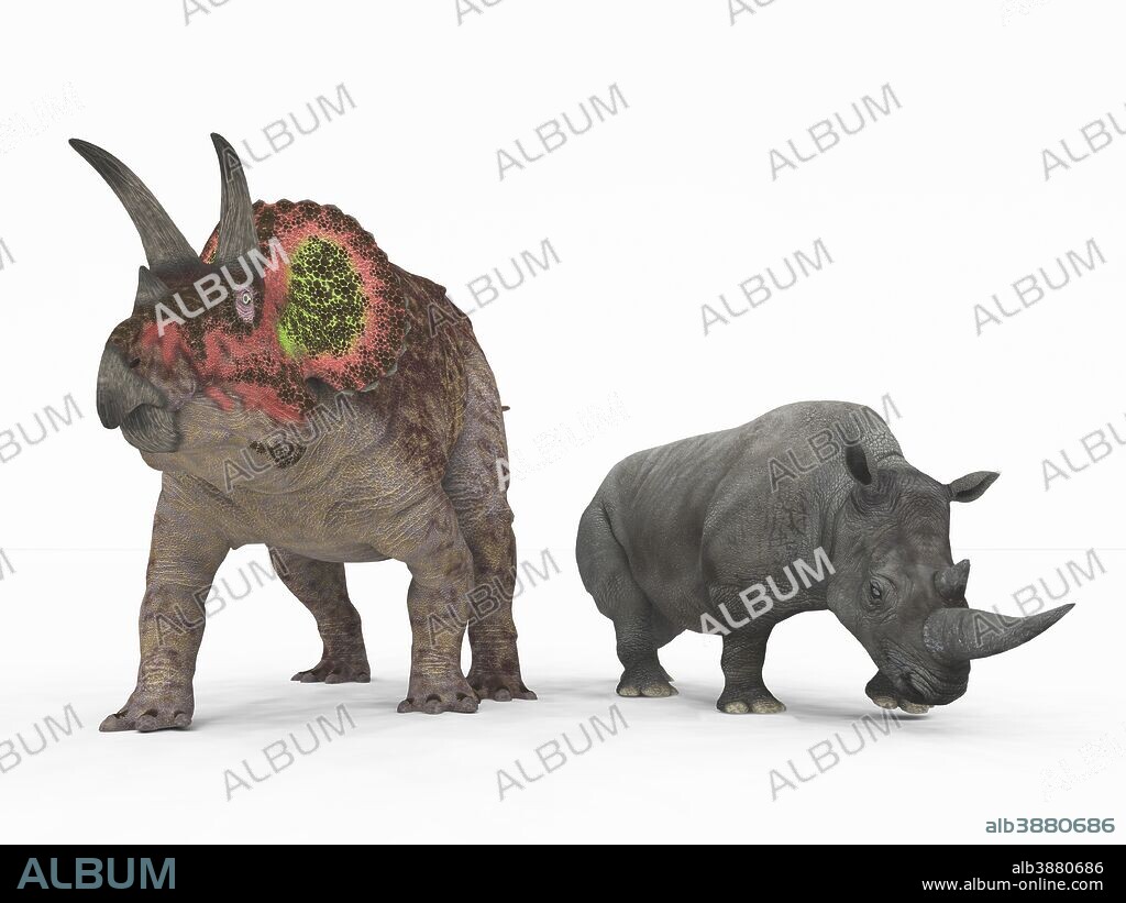 An adult Triceratops from 68 million years ago is compared to a modern adult White Rhinoceros (Ceratotherium simum). The Triceratops is nearly 10 feet tall at the shoulder and weighs 25,000 pounds, while the White Rhinoceros is 6 feet tall at the shoulder and weighs 7,000 pounds.