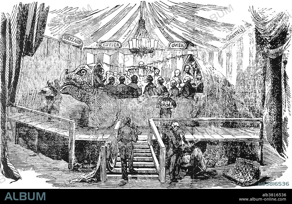The "Dinner in the Iguanodon Model" is the best known story about Crystal Palace Dinosaurs. It took place on New Year's Eve December 31, 1853. The host was Benjamin Waterhouse Hawkins, an artist-sculptor who became famous for the dinosaur sculptures (33 in all) that he created for a great exhibition at the Crystal Palace in London. Waterhouse had been working with the paleontologist Sir Richard Owen to give the world its first glimpse of what one of these massive prehistoric creatures looked like. The illustration depicts a collection of gentlemen sitting around a table inside one of the Iguanodon models under construction over the winter 1853-54. In the image, waiters deliver dinner. On the floor are pieces of the mold used to cast the model. Different reports put Richard Owen at the head of the table and Benjamin Waterhouse Hawkins standing center and facing the viewer. The model is surrounded by a tent decorated with a chandelier and four plaques honoring famous paleontologists (William Buckland, Georges Cuvier, Richard Owen, Gideon Mantell). Because the Iguanodon model stood tall, a stage was required for waiters and guests to reach inside. Published in Illustrated London News, January 7, 1854.