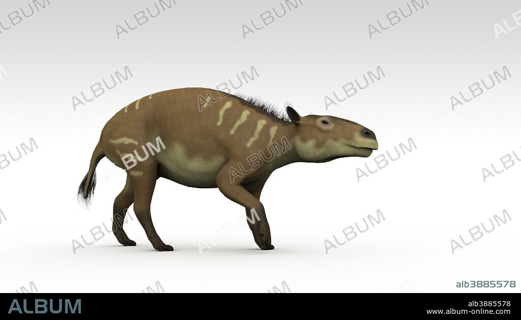 Eurohippus, an extinct genus of equid ungulate, white background.