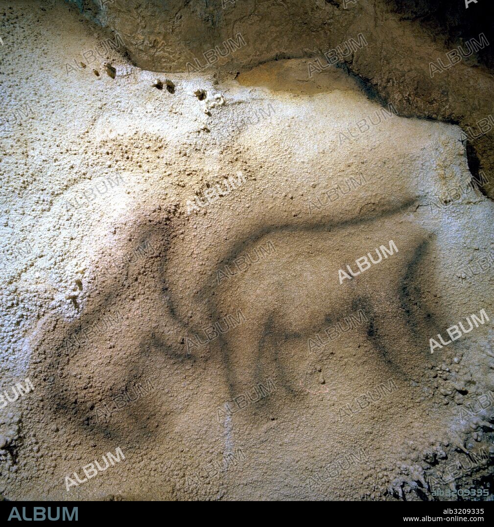 CUEVA DE EKAIN. EL NICHO DE LOS OSOS - ARTZEI: REPRESENTACION DE DOS OSOS.  DEVA, GUIPUZCOA, PAIS VASCO, ESPAÑA.
