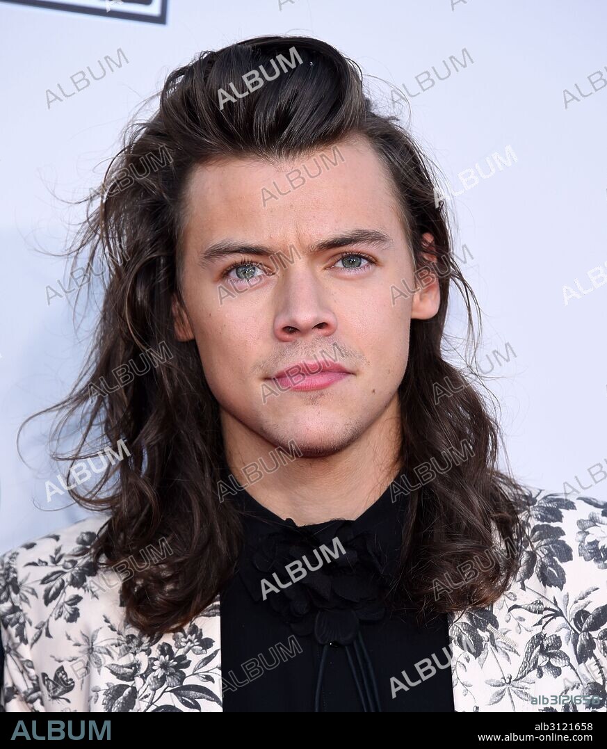 Nov. 22, 2015 - Los Angeles, California, U.S. - Harry Styles (One Direction) arrives for the 2015 American Music Awards at the Microsoft theater. 22/11/2015