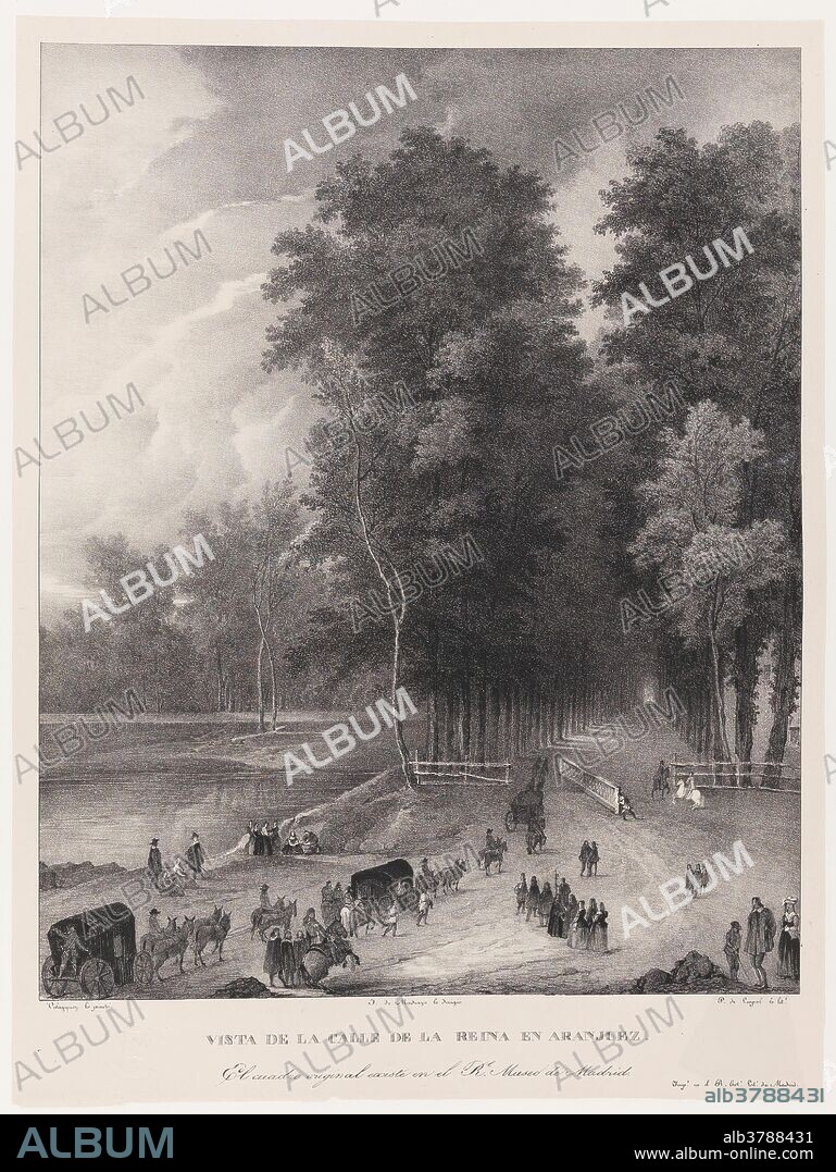 JUAN BAUTISTA MARTÍNEZ DEL MAZO, JOSE DE MADRAZO Y AGUDO y ANDREAS PIC DE LEOPOLD. Andreas Pic de Leopold (Litógrafo) (Atribuida la obra original, según inscripciones, a Velázquez, Diego Rodríguez de Silva y); Juan Bautista Martínez del Mazo (Autor de la obra original); José de Madrazo y Agudo (Director); Real Establecimiento Litográfico de Madrid (Impresor) / 'La calle de la Reina en Aranjuez'. 1829 - 1832. Aguatinta litográfica, Litografía a lápiz, Litografía a pluma, Estampación sobre papel china, Raspador sobre papel avitelado, 625 x 475 mm.