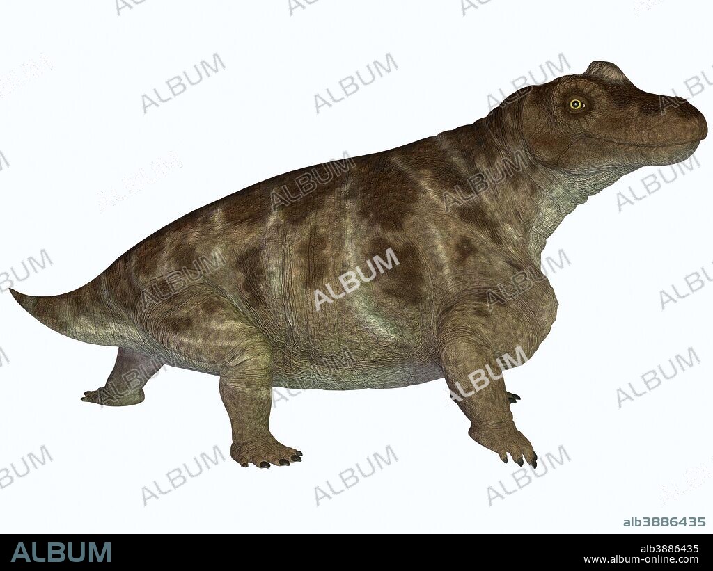 Keratocephalus was a semi-aquatic herbivore dinosaur that lived during the Permian Age in Africa.