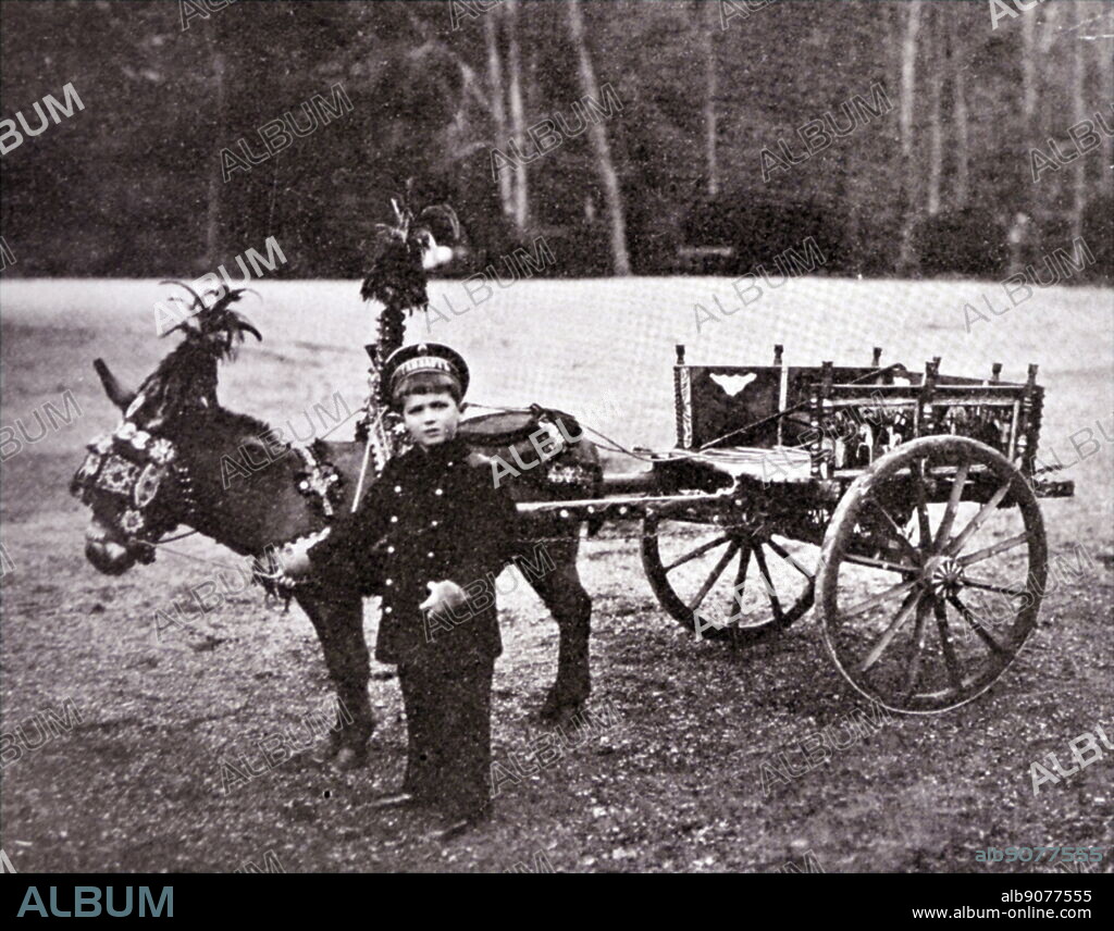 Photograph of Alexei Nikolayevich (1904 1918) of the House of Romanov. Alexei, the Tsarevich and heir apparent to the throne of the Russian Empire, was the youngest child and only son of Emperor Nicholas II and Empress Alexandra Feodorovna. He was born with haemophilia.
