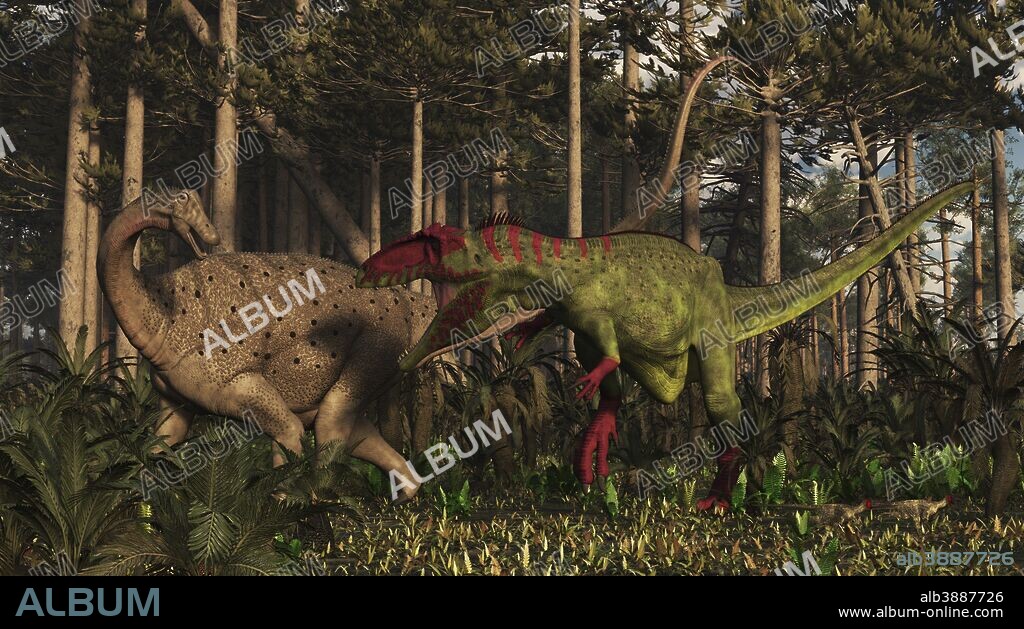 The giant predator Giganotosaurus attacks the sauropod Limaysaurus in South America 97 million years ago.. . Giganotosaurus is among the largest of all known land predators (43-46 feet long). It was longer than T-Rex, but not as heavy, but maybe quicker. Here it is attacking a sauropod of the time and region called Limaysaurus. Limaysaurus is actually related to Diplodocids rather than Titanosaurs. They are estimated at 50-60 feet long.