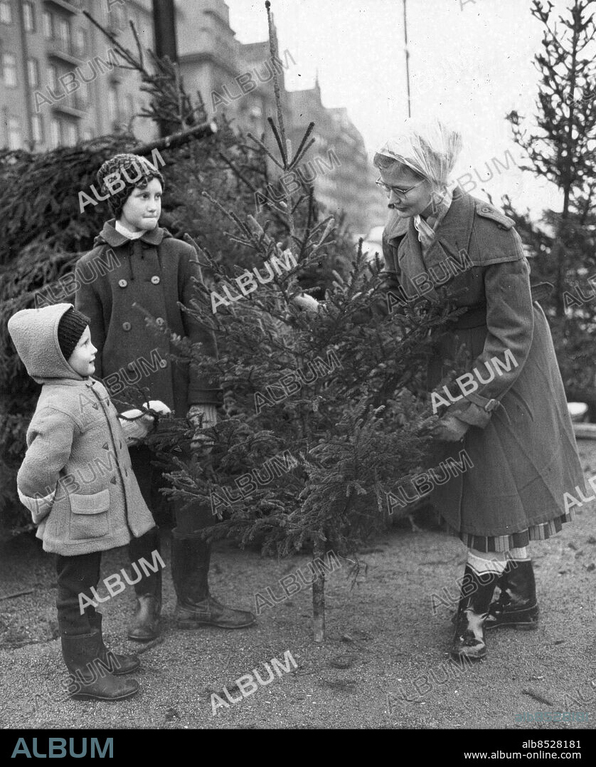 Stockholm 1960-12-21. Vad kostar tant? Vi vill ha en till oss. Så sade i morsejulgransförsäljningspremiär i StockholmOlle Johansson, 4, och Ann Johansson 9, till försäljerskan Gunvor Andersson från Stjärnhov, som sålde granar vid Norr Mälarstrand.. Foto: DN / TT / Kod: . ** SvD OUT **.