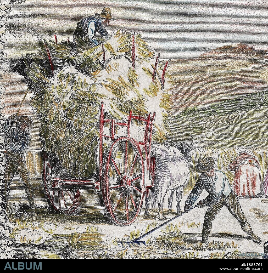 SOCIEDAD RURAL. ESPAÑA. "RECOLECCION DE CEREALES". Campesinos cargando un carro con balas de paja. Grabado coloreado del siglo XIX.