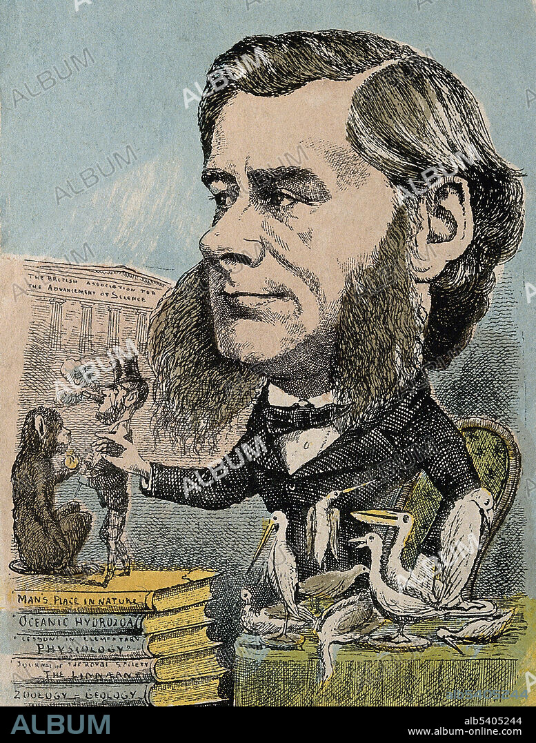 Thomas Henry Huxley (May 4, 1825 - June 29, 1895) was an English biologist, known as "Darwin's Bulldog" for his advocacy of Charles Darwin's theory of evolution. Huxley's famous 1860 debate with Samuel Wilberforce was a key moment in the wider acceptance of evolution, and in his own career. Huxley was slow to accept some of Darwin's ideas, such as gradualism, and was undecided about natural selection, but despite this he was wholehearted in his public support of Darwin. He was instrumental in developing scientific education in Britain, and fought against the more extreme versions of religious tradition. Huxley coined the term 'agnostic' to describe his own views on theology, a term whose use has continued to the present day. Huxley had little formal schooling and was virtually self-taught. The Royal Society, who had elected him as Fellow when he was 25 (1851), awarded him the Royal Medal the next year. He was the youngest biologist to receive such recognition. Huxley retired in 1885, after a bout of depressive illness which started in 1884. He died in 1895 at the age of 70. No artist credited, Colored wood engraving, 1870.