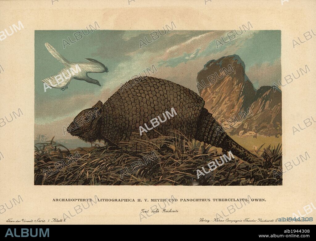 Archaeopteryx lithographica, extinct prehistoric bird dinosaur, and Panochthus tuberculatus Owen, extinct Glyptodont. Colour printed (chromolithograph) illustration by F. John from "Tiere der Urwelt" Animals of the Prehistoric World, 1910, Hamburg. From a series of prehistoric creature cards published by the Reichardt Cocoa company.