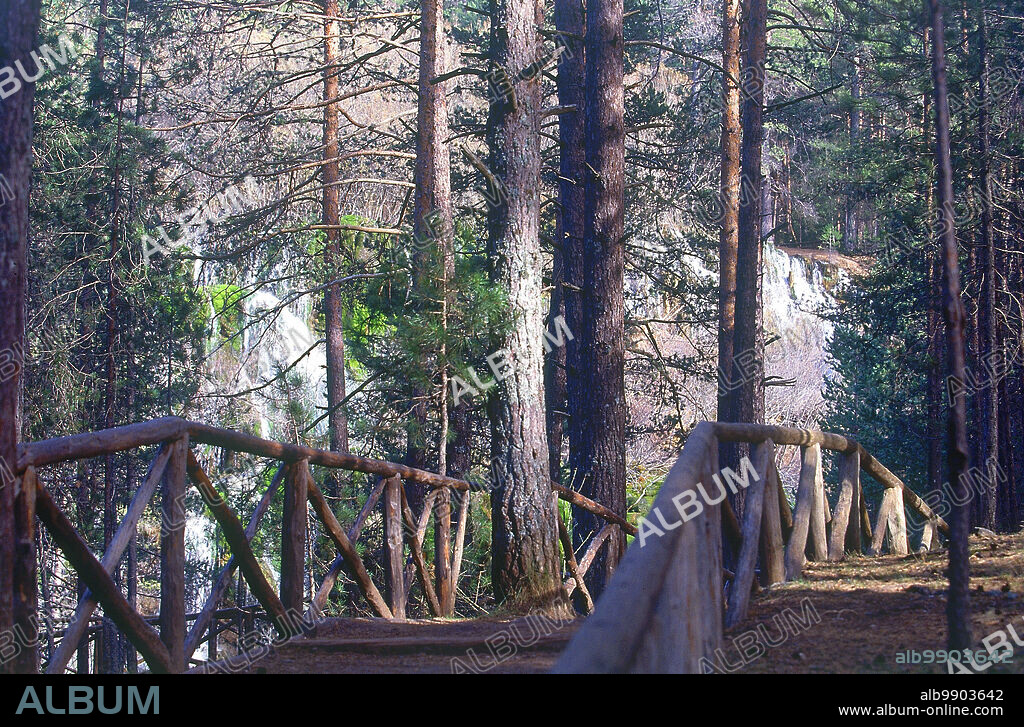 PUENTE DE MADERA EN EL NACIMIENTO DEL RIO CUERVO.