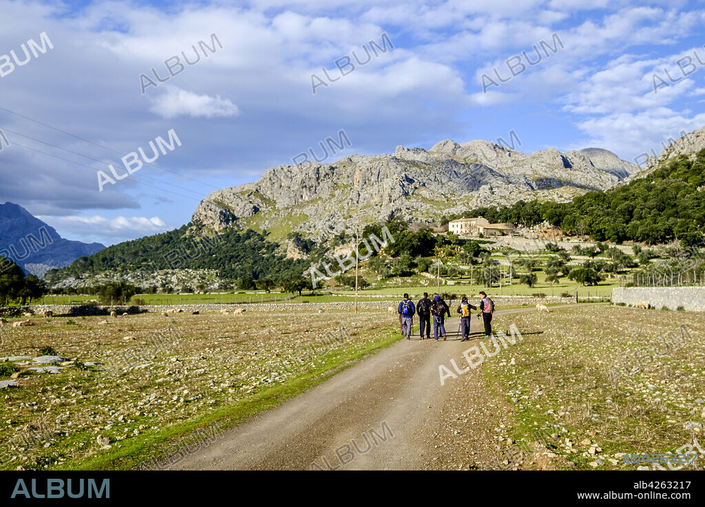 Hiking group at the Mossa estate, Puig Roig, 1003 meters, Escorca, Tramuntana Mountains, Mallorca, Balearic Islands, Spain, Europe.