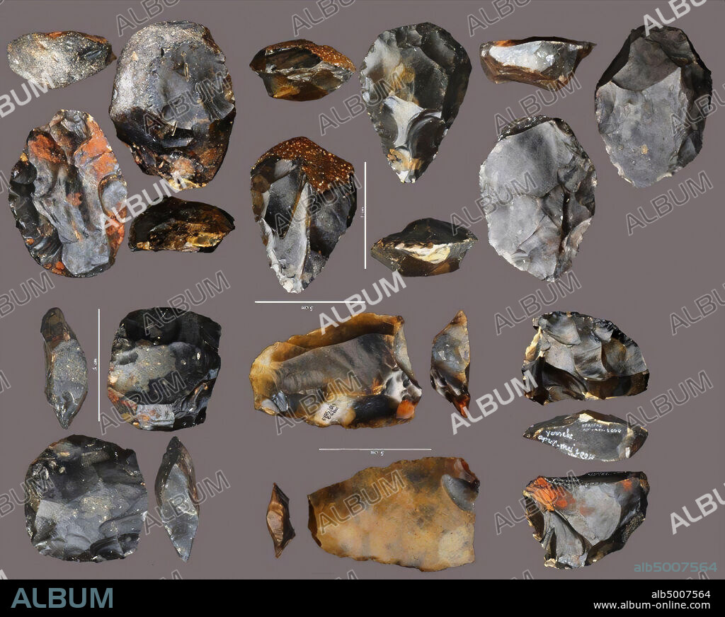 Levallois exit with blade negatives, exit, stone, flint, L: 8.3 cm, W: 5.6 cm, D: 1.8 cm. Weight: 93 grams, Paleolithic, the Netherlands, Zeeland.