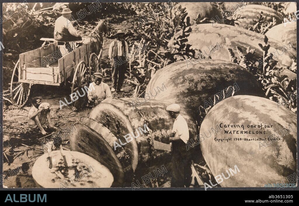 Carving One of Our Watermelons. Artist: William H. Martin (American, 1865-1940). Dimensions: Image: 8.7 x 14 cm (3 7/16 x 5 1/2 in.)
Frame: 55.9 x 71.1 cm (22 x 28 in.) (Multiple postcards in frame). Date: 1909.
The tall-tale postcard was a uniquely American genre that flourished in the Midwest between about 1908 and 1915. The earliest master of the genre was William H. "Dad" Martin, a studio photographer in Kansas who established a successful sideline crafting photomontages of outlandish agricultural abundance. Intimately familiar with the tribulations of Midwestern farmers, including a fierce drought that parched the land for most of the 1890s, Martin lampooned the inflated promises of fertile soil, abundant rain, and hardy livestock that land companies used to lure settlers westward.