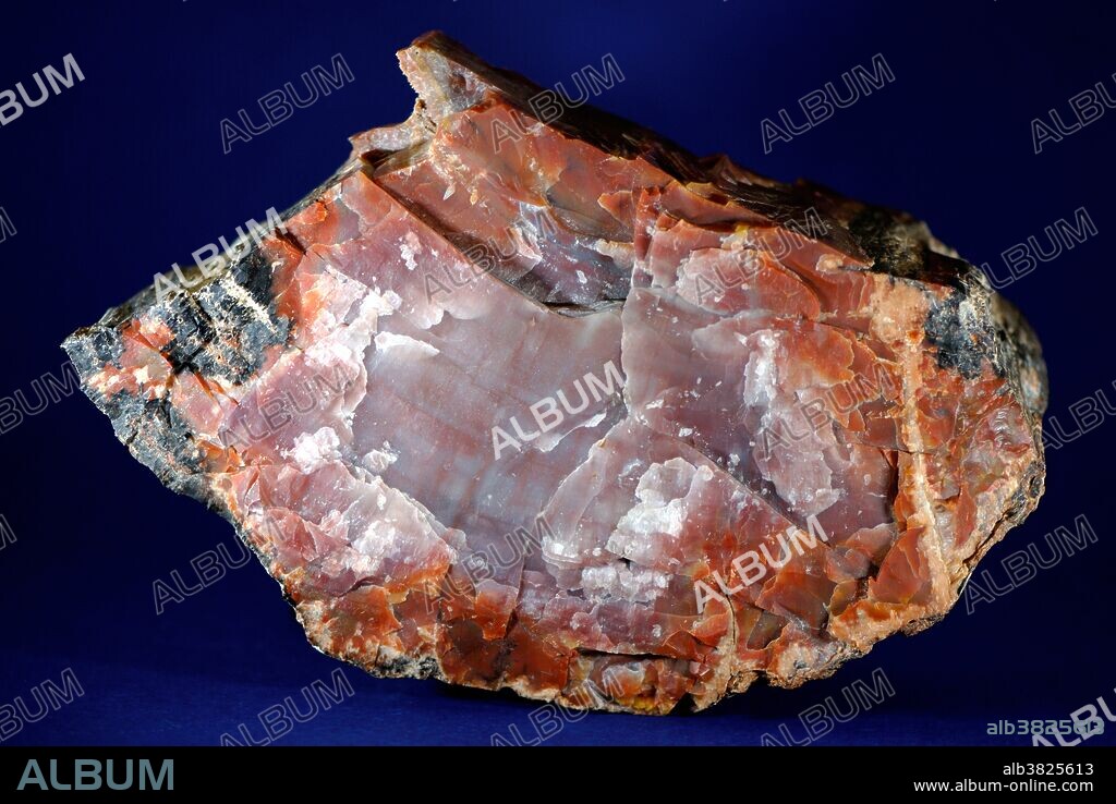 In geology, petrifaction or petrification is the process by which organic material is converted into stone or a similar substance without decaying. It is approximately synonymous with fossilization. Petrified wood is the most well known result of this process.