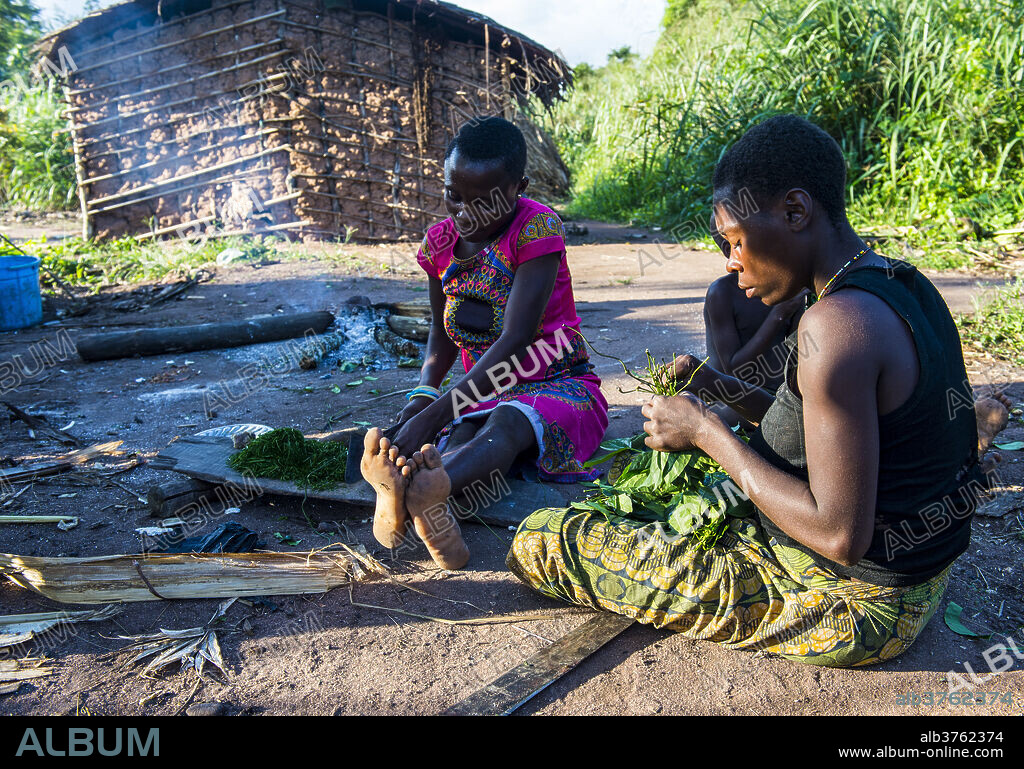 Baka pygmies preparing food in the Dzanga-Sangha Special Reserve, UNESCO World Heritage Site, Central African Republic, Africa.