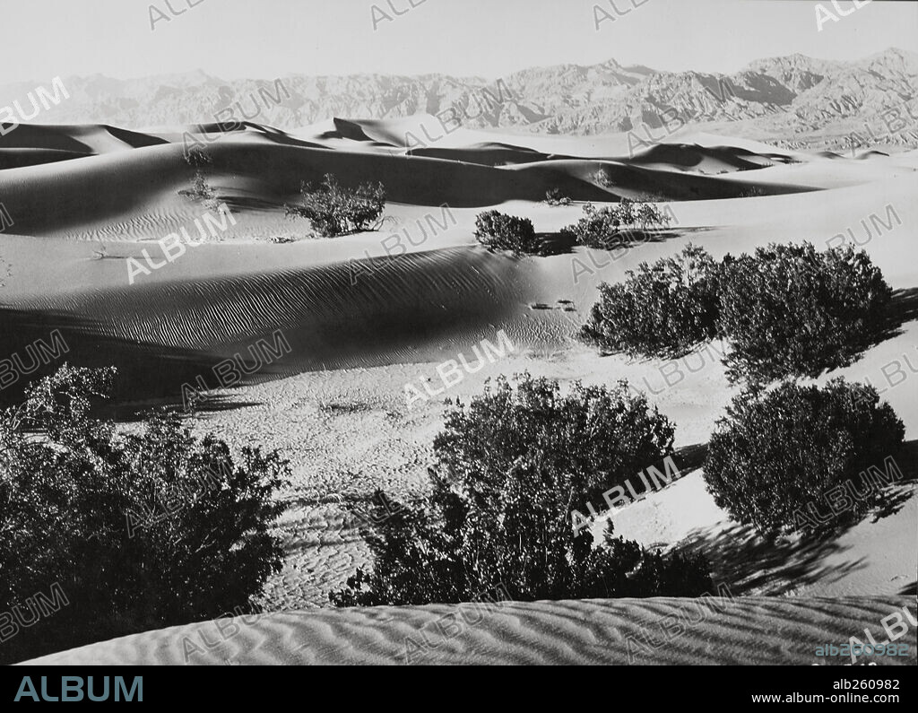 THE LIVING DESERT, 1953, directed by JAMES ALGAR. Copyright WALT DISNEY PICTURES.