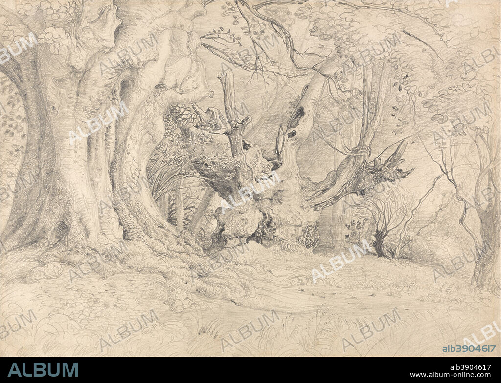 SAMUEL PALMER. Ancient Trees, Lullingstone Park. Date/Period: 1828. Drawing. Graphite on thick, slightly textured, cream wove paper. Height: 267 mm (10.51 in); Width: 371 mm (14.60 in).
